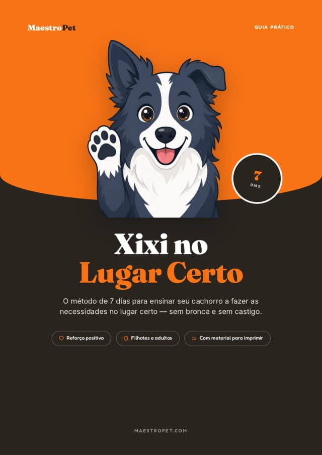 Capa do guia Xixi no Lugar Certo